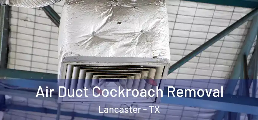 Air Duct Cockroach Removal Lancaster - TX