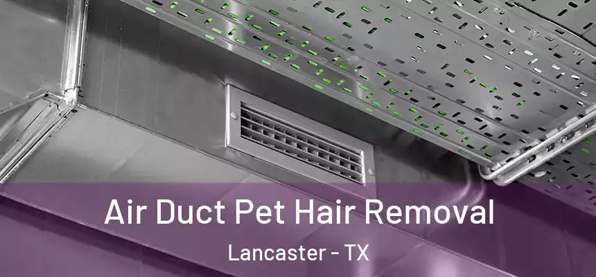  Air Duct Pet Hair Removal Lancaster - TX