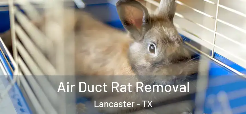  Air Duct Rat Removal Lancaster - TX