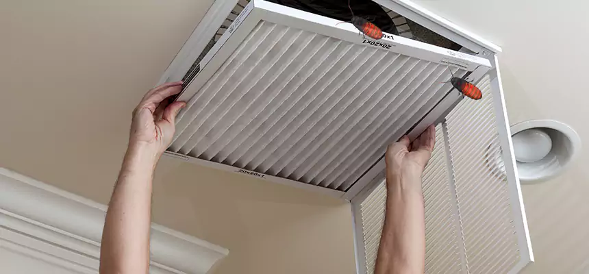 Our Insect Removal from Air Ducts Services in Lancaster, TX