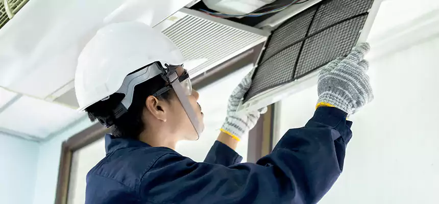 Our Mold & Mildew Removal from Air Ducts Services in Lancaster, TX