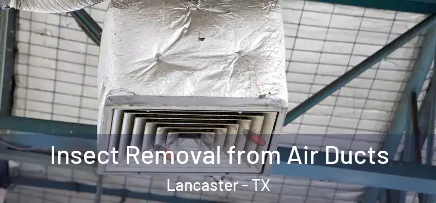  Insect Removal from Air Ducts Lancaster - TX