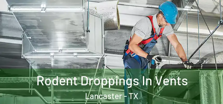  Rodent Droppings In Vents Lancaster - TX