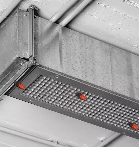 About Air Duct Cockroach Removal in Lancaster, TX