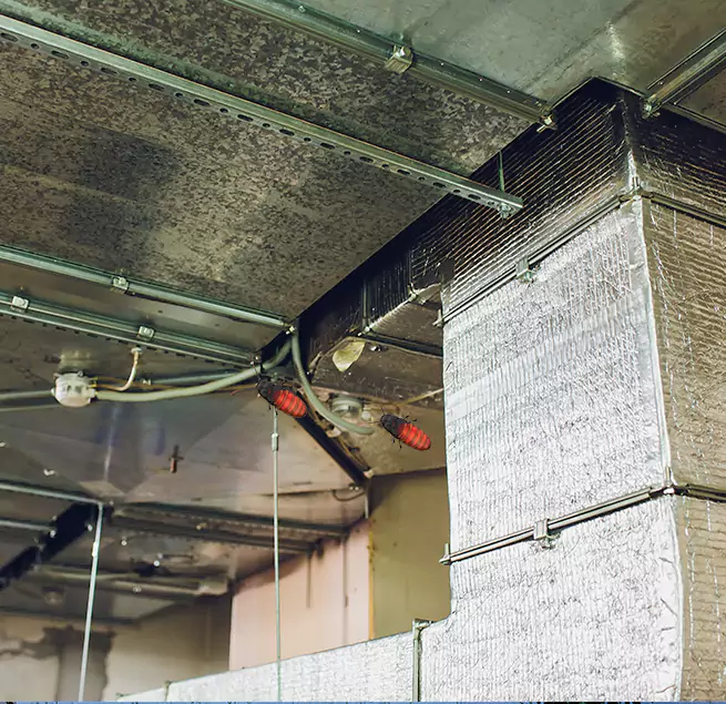 Why Homeowners & Businesses Trust Us in Lancaster, TX?