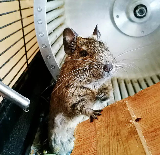 Why Homeowners & Businesses Trust Us Lancaster, TX?