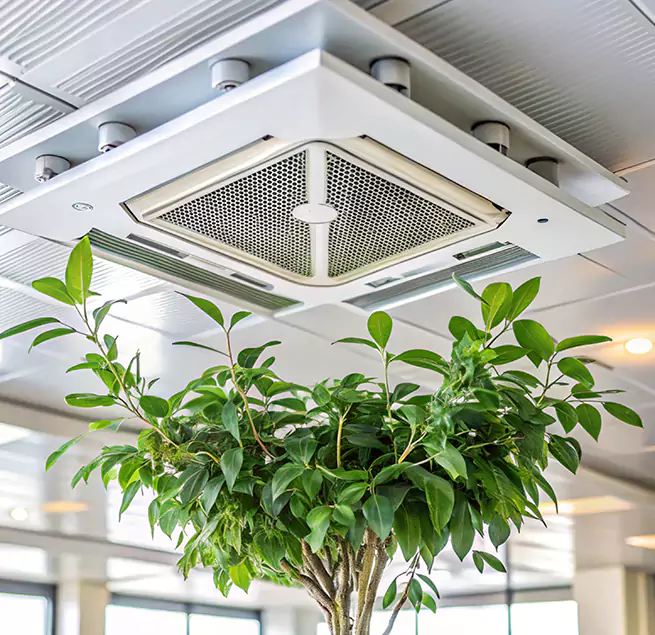 Why Homeowners & Businesses Trust Us in Lancaster, TX