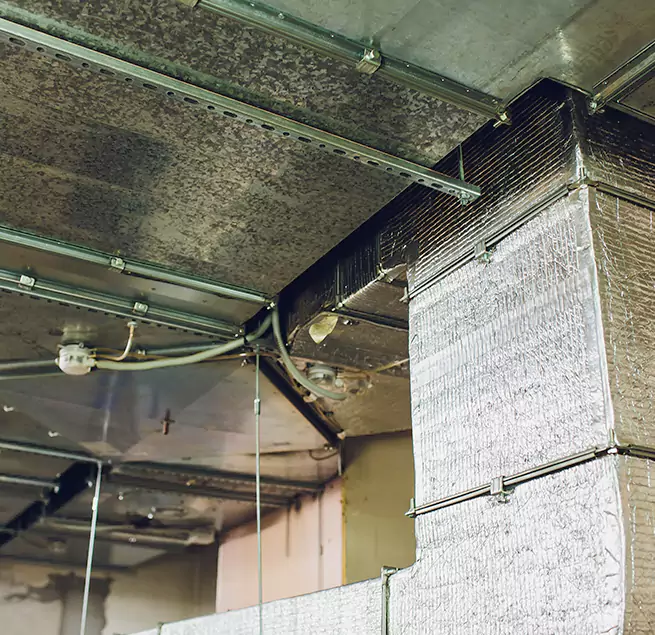 Why Homeowners & Businesses Trust Us in Lancaster, TX?